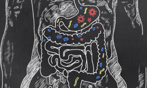 Así es cómo los probióticos te ayudan a quemar la grasa