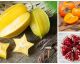 11 frutas exóticas que no conoces y tienes que probar