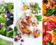 ¡Vete de picnic! Ideas para aprovechar las deliciosas frutas y vegetales del verano