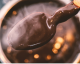 Chocolate: ¡el remedio más delicioso contra la tos!