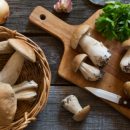 Setas, rebozuelos y hongos: tu guía de setas del bosque y sus recetas más deliciosas