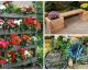 12 ideas para crear un jardín de ensueño