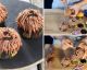 STAR WARS : ¡Deliciosos y salvajes cupcakes de Chewbacca!