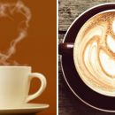10 cosas que no sabes sobre el café