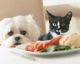 La dieta natural que alarga la vida de tus mascotas