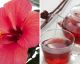 Hibisco: la flor que te ayudará a reducir la hipertensión
