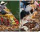 Un paseo por los mercados de comida más curiosos del mundo
