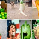 14 curiosidades que no conocías sobre algunos vegetales