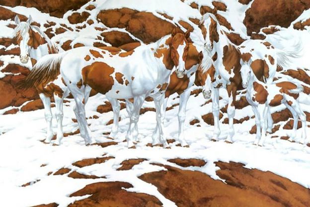 Nadie es capaz de acertar el número de caballos que hay en esta imagen