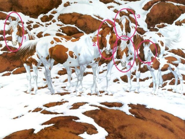 Nadie es capaz de acertar el número de caballos que hay en esta imagen