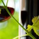 Tips para el maridaje de vinos y comidas