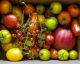 Los tomates deben guardarse en el refrigerador: ¿mito o realidad?