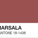 ¿Sabes lo qué es en realidad el Marsala además del color de 2015?