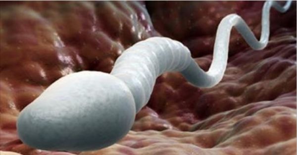 Tragarse el semen: c&oacute;mo convencerla de que lo haga (y que le guste)