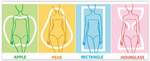 Cuáles son las diferentes formas del cuerpo femenino?