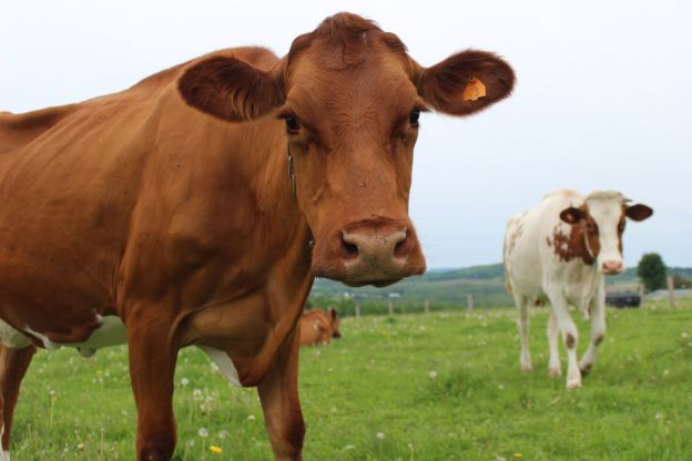 &iquest;qu&eacute;eee?