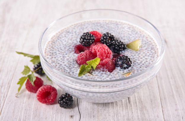 <strong>LA FAMOSA RECETA DE PUDIN DE CHIA</strong>