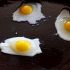 Fríe los huevos de codorniz