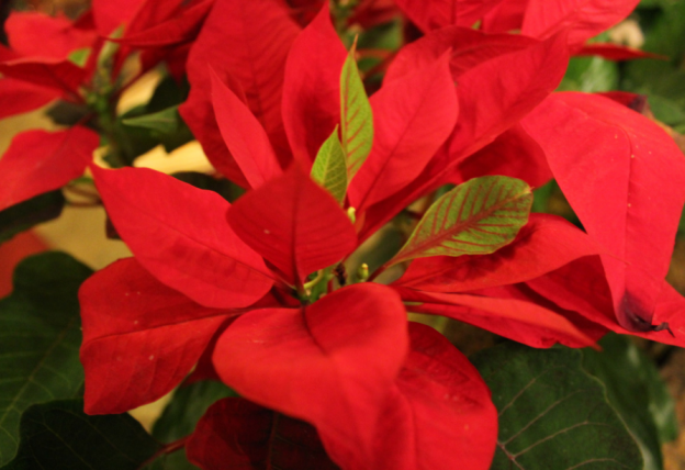 no soporta la humedad