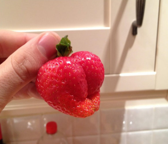 Como conservar las fresas por más tiempo