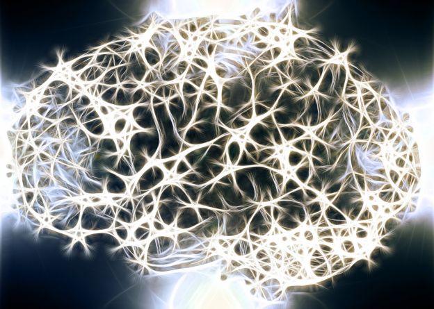 ¿QUÉ ES LA NEUROGÉNESIS?