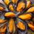Mejillones