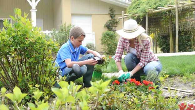 descubre todo lo que la jardinería puede hacer por ti