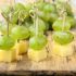 Pinchos de queso
