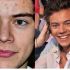 Harry Styles