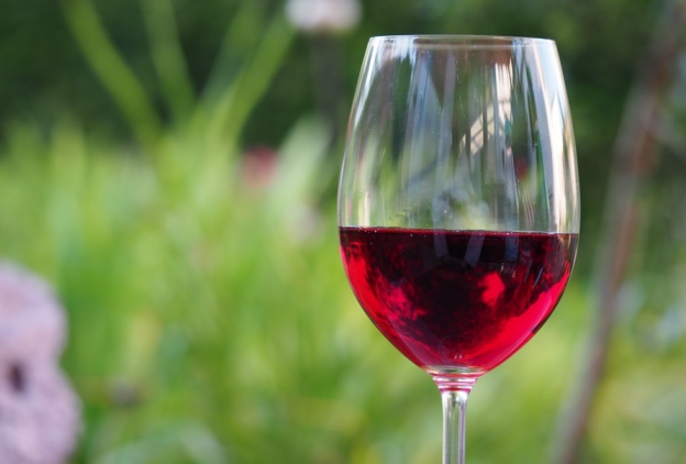 APTO PARA LAS DIETAS