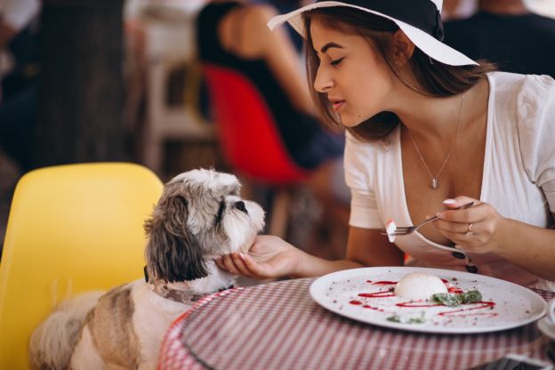 Saca a tu perro a pasear