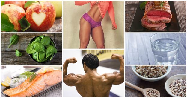 Los mejores alimentos