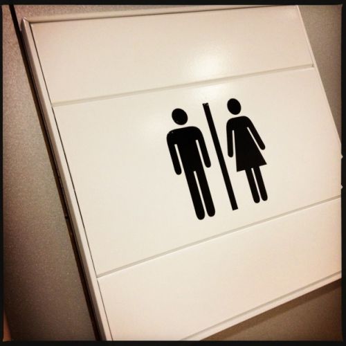 ¡Te va a encantar lo que descubrimos!