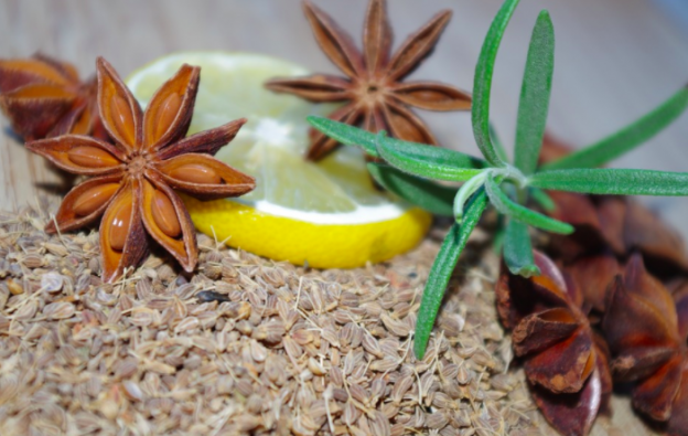 ESTIMULACIÓN DE LOS JUGOS GÁSTRICOS