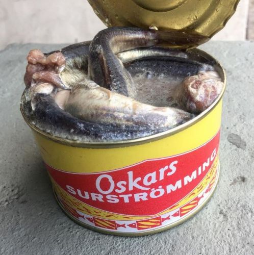 Qué es el Surströmming y por qué tiene mal olor