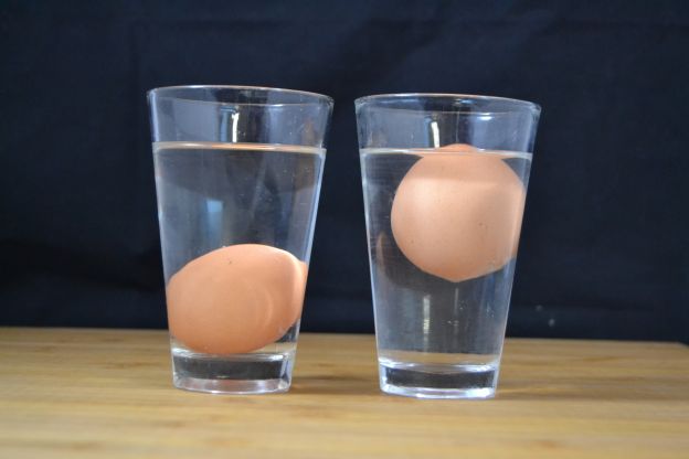 ¿Cómo saber si un huevo está fresco o no?
