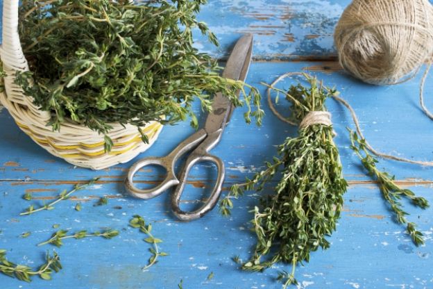 Cambiar hierbas frescas por deshidratadas