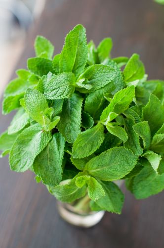 Infusión De menta