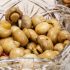 Champiñones en conserva