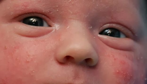 ¿EN QUIÉN APARECEN?