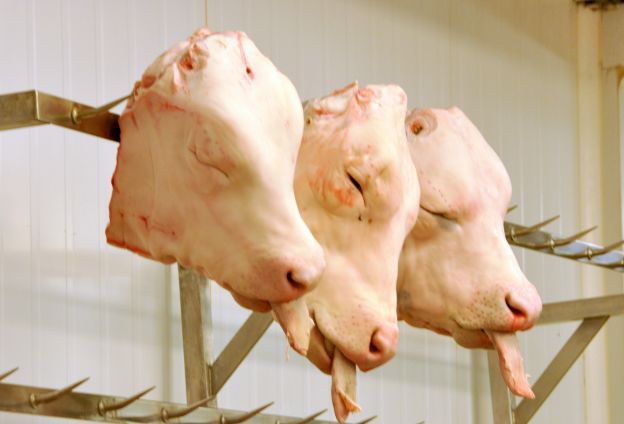 Tête de veau (cabeza de ternera)
