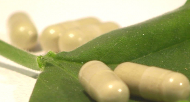 1.- CÁPSULAS DE GINGKO