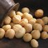 Las nueces de macadamia