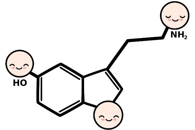 EL MILAGRO DE LA QUÍMICA