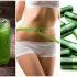 Descubre los beneficios de la espirulina