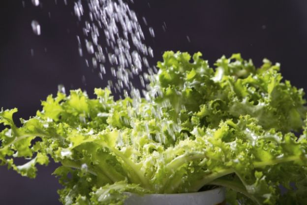 No secar la lechuga
