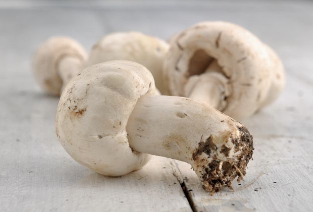 Buñuelos de champiñones