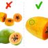 PAPAYA