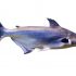 EL PANGASIUS