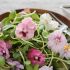 Flores comestibles